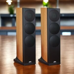 Naim Ovator S600 Floorstanding Speakers