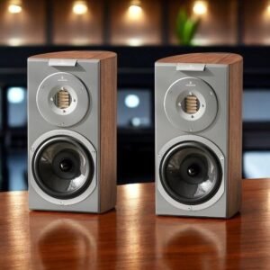 Bookshelf vs Floorstanding Speakers: HDBs and Condos - New & Pre-owned Hi-Fi | SoundTribeAsia Audiovector R1 Arreté