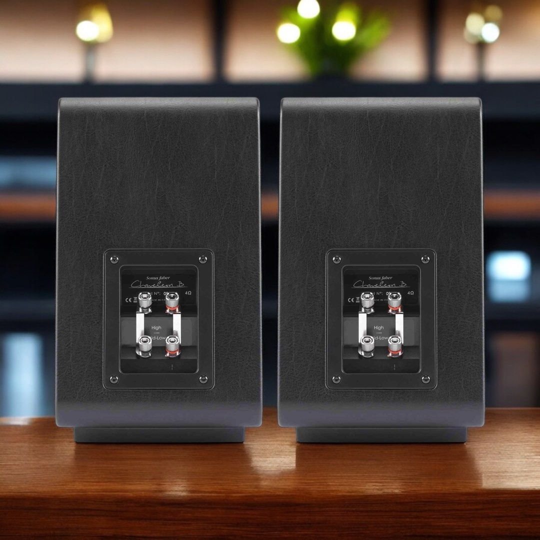 sonus_faber_chameleon_b_speake_1737474145_20718f30_progressive Sonus Faber Chameleon B