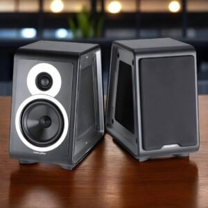 SoundTribeAsia Used Hifi - New & Pre-owned Hi-Fi | SoundTribeAsia Sonus Faber Chameleon B