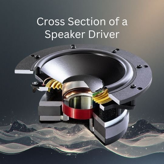 Buying Pre-Owned Speakers: A Beginner’s Guide to Making the Right Choice - New & Pre-owned Hi-Fi | SoundTribeAsia