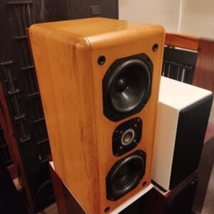 Point Source PS5 Speakers