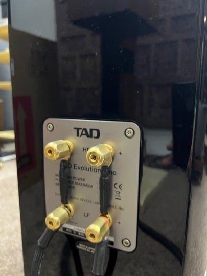 tad_evo1_tx_speaker_1778587729_0cc1a9f2_progressive TAD Evo1 TX speaker
