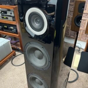 TAD Evo1 TX speaker